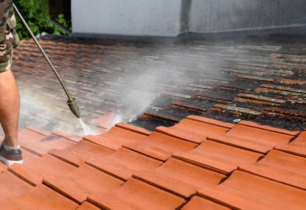Best Local Pressure Washing Services  in Toftrees, PA
