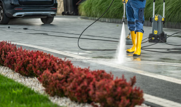 Best Roof Pressure Washing  in Toftrees, PA